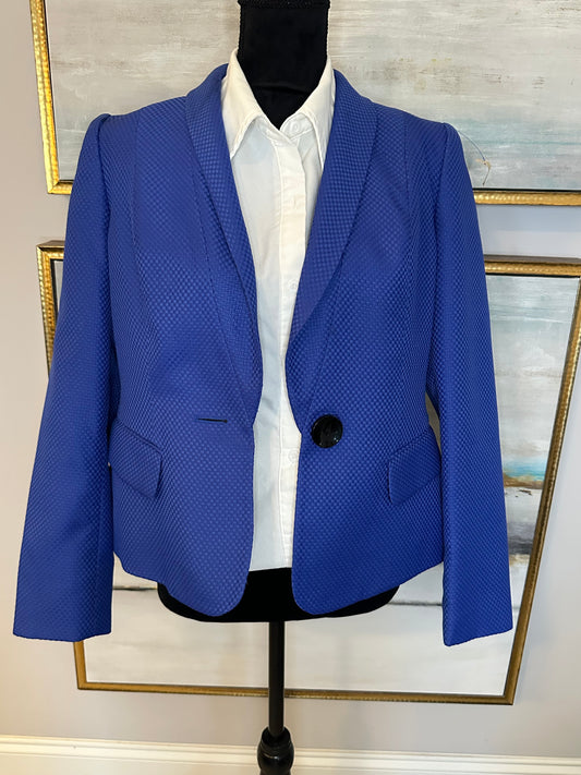 Evan Picone Blue Diamond Size 8(No Stretch)